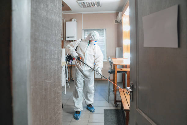 Best HVAC Mold Inspection and Cleaning  in San Manuel, AZ