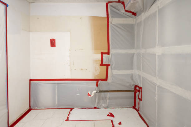 Best Comprehensive Air Testing for Mold Contaminants  in San Manuel, AZ