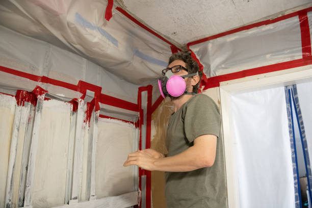 Best Mold Remediation for Rental Properties  in San Manuel, AZ