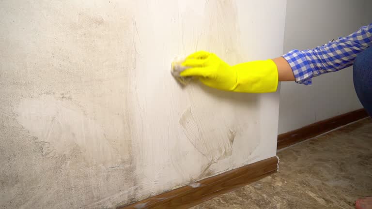 Mold Remediation for Rental Properties in San Manuel, AZ