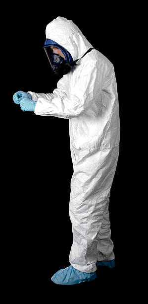Best Mold Removal for HVAC Installations  in San Manuel, AZ