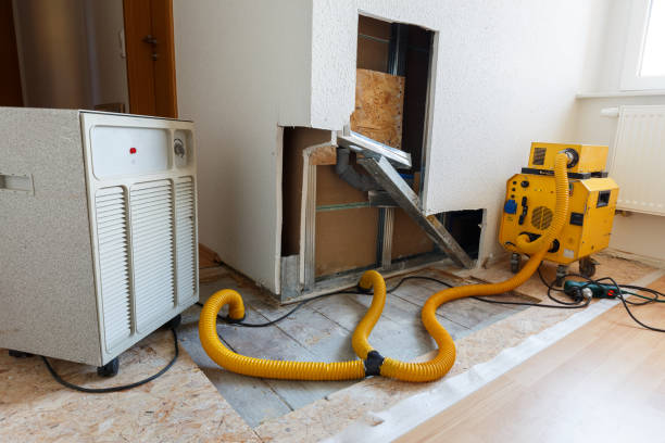 Best Residential Mold Inspection & Testing  in San Manuel, AZ